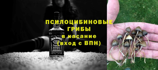 соль ск Алексин