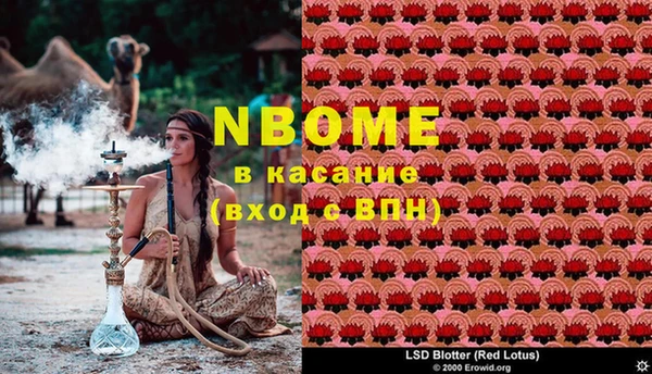 ПСИЛОЦИБИНОВЫЕ ГРИБЫ Алексеевка