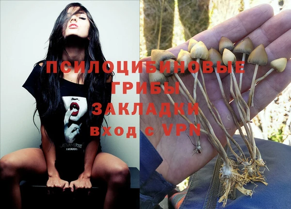 ПСИЛОЦИБИНОВЫЕ ГРИБЫ Алексеевка