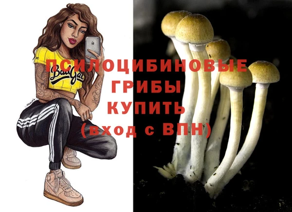 ПСИЛОЦИБИНОВЫЕ ГРИБЫ Алексеевка
