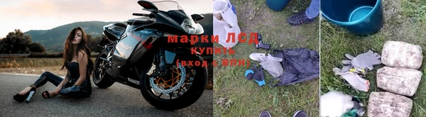 ПСИЛОЦИБИНОВЫЕ ГРИБЫ Алексеевка